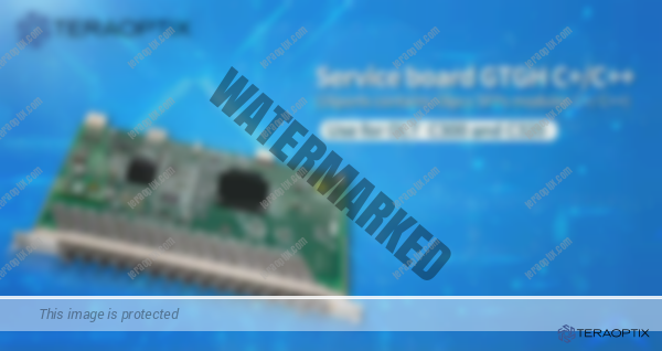 GTGH Gpon Service Card - Image 3